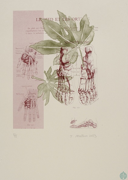 estampes-003.jpg
