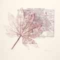 estampes-004