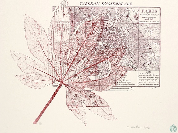 estampes-004