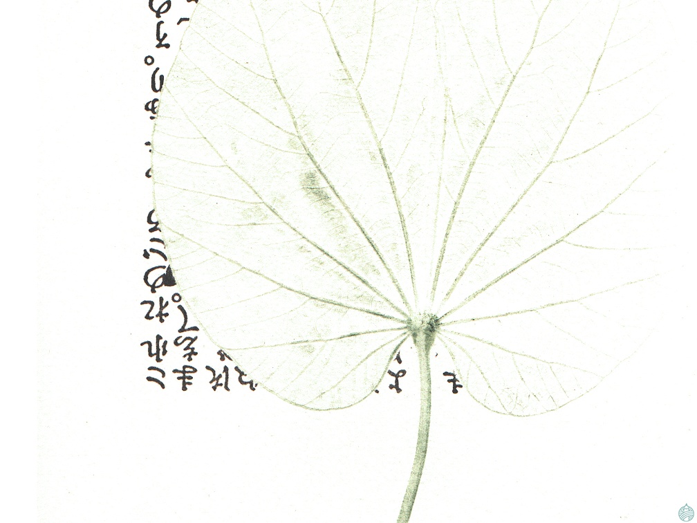 estampes-007