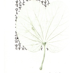 estampes-007