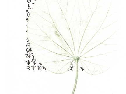 estampes-007