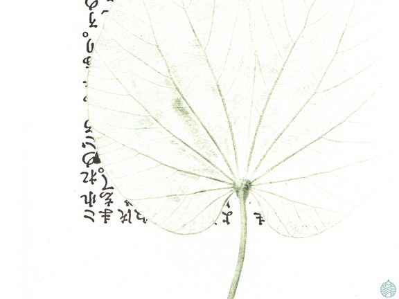 estampes-007