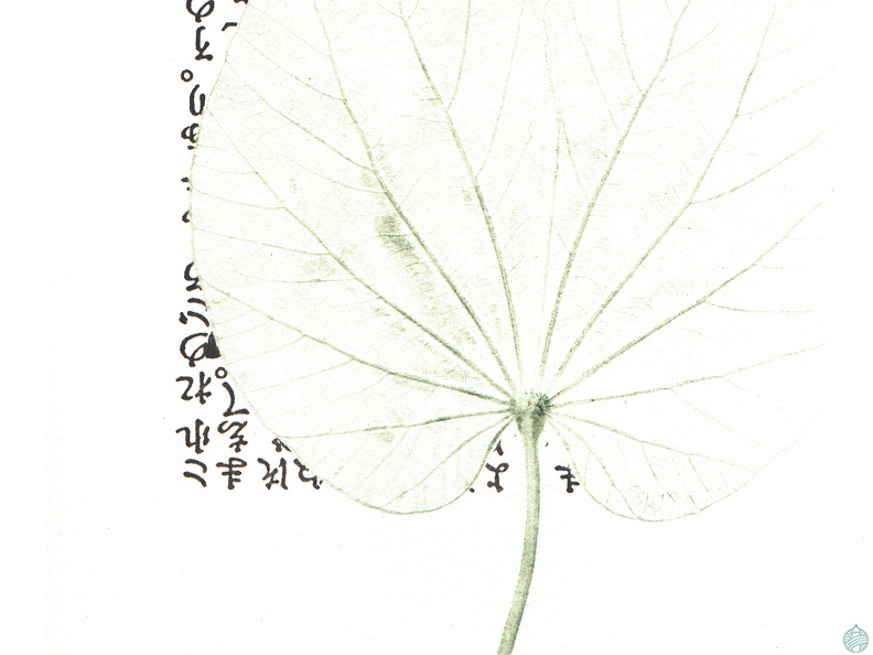 estampes-007