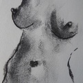 modelesvivants-015