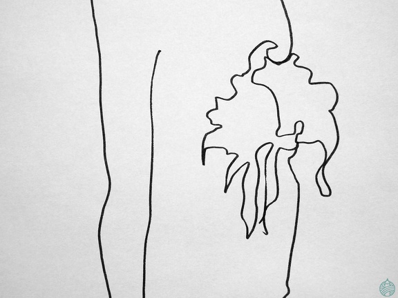 modelesvivants-026