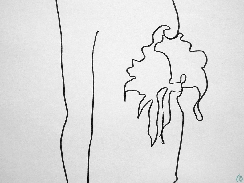 modelesvivants-026