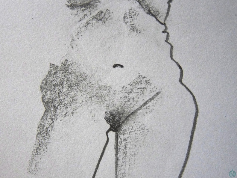 modelesvivants-072