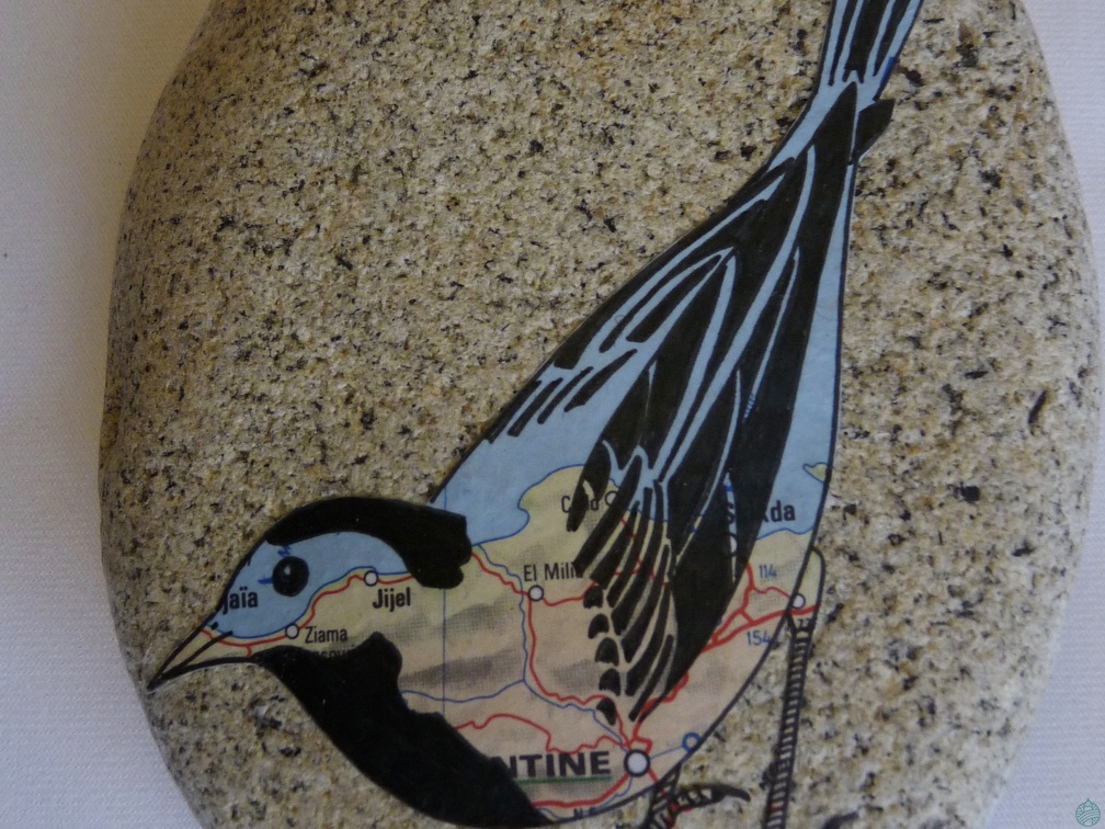 oiseau1
