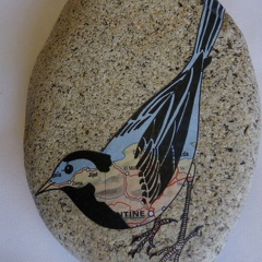 oiseau1