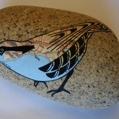 oiseau2