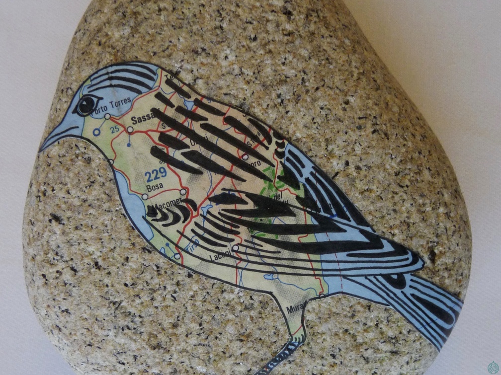 oiseau3