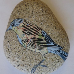 oiseau3