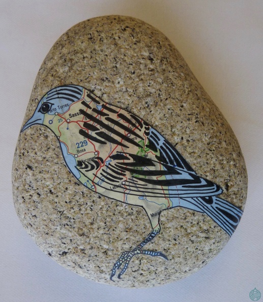 oiseau3.JPG