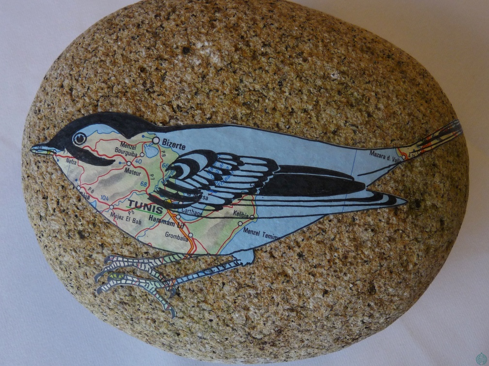 oiseau4
