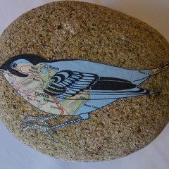 oiseau4