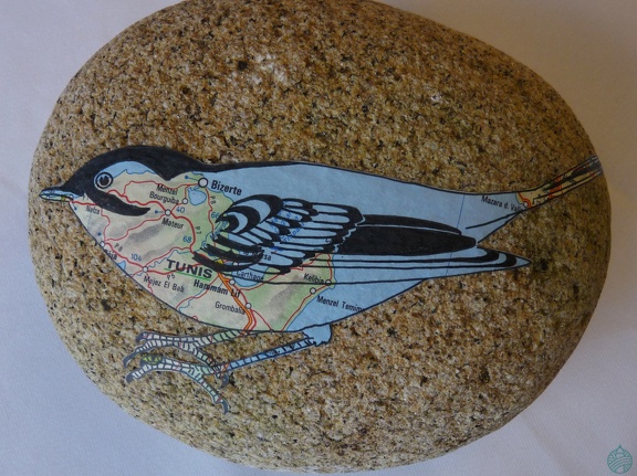 oiseau4
