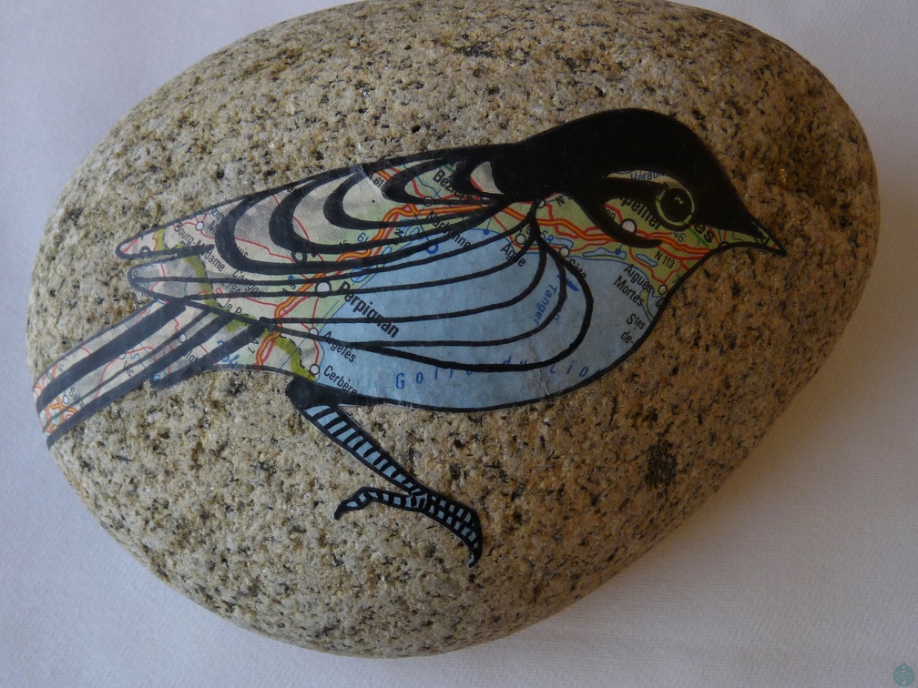 oiseau5