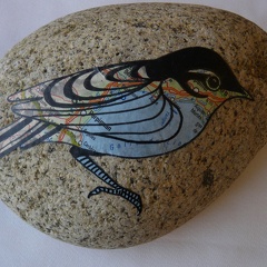 oiseau5