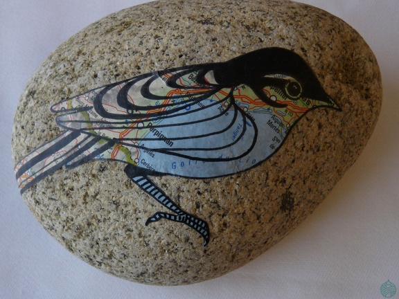 oiseau5