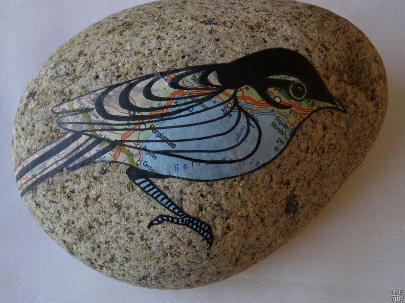 oiseau5