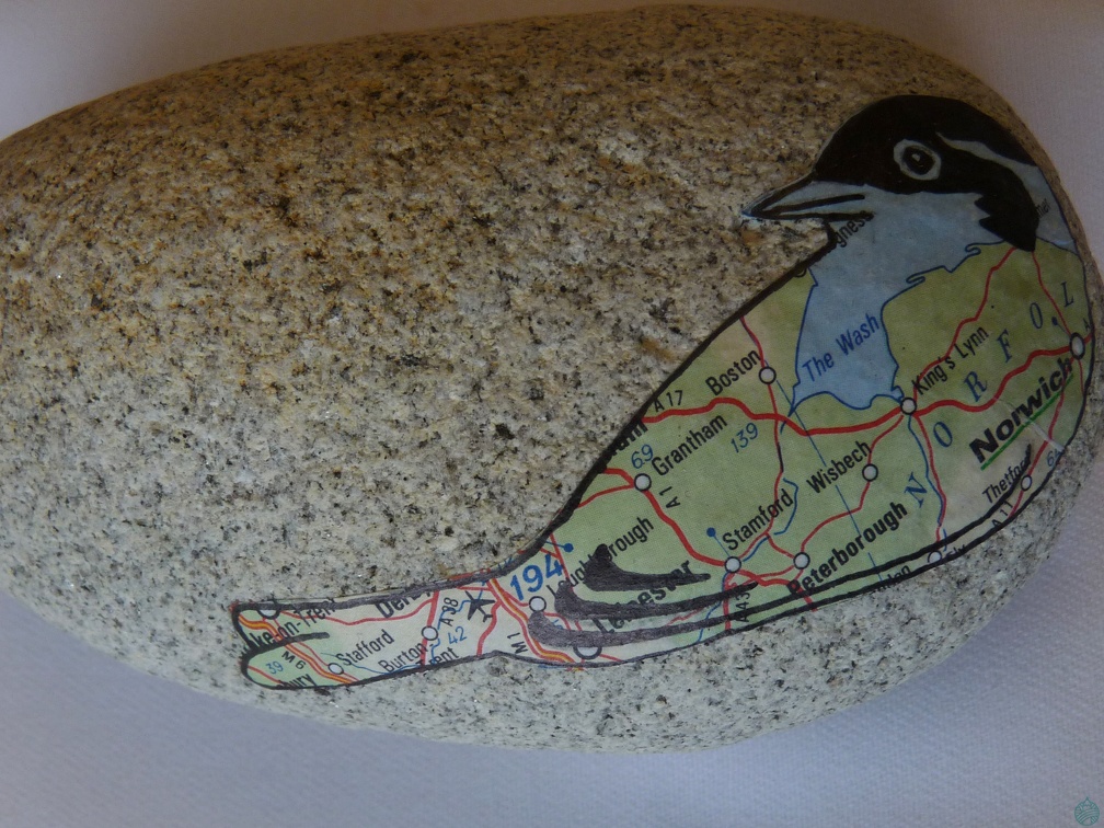 oiseau6