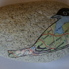 oiseau6