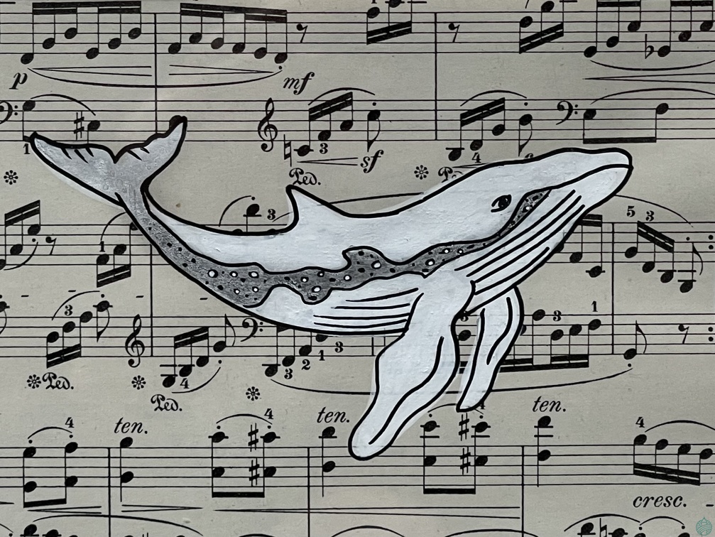 baleine1
