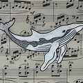baleine1