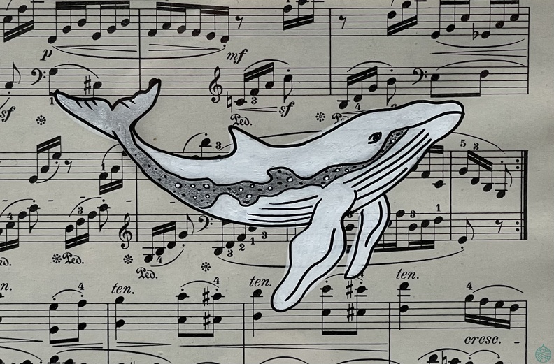 baleine1.jpg