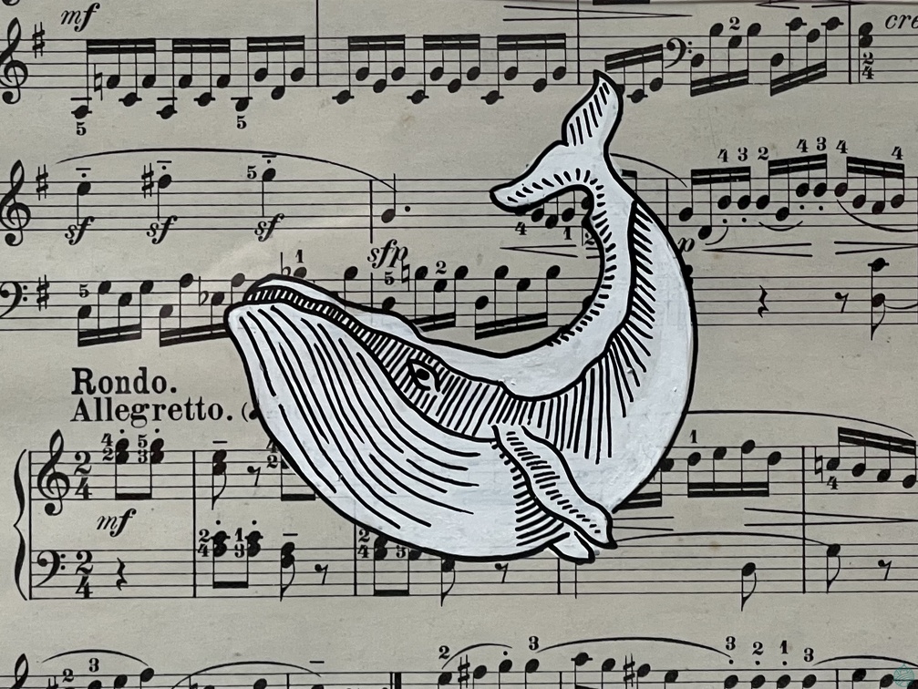 baleine2