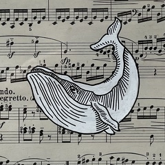 baleine2