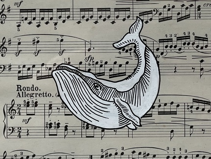 baleine2