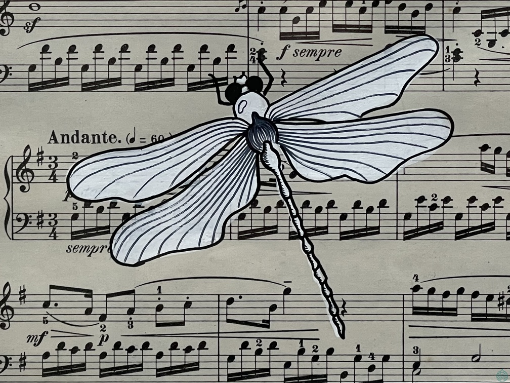 libellule