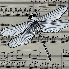 libellule