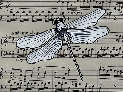 libellule