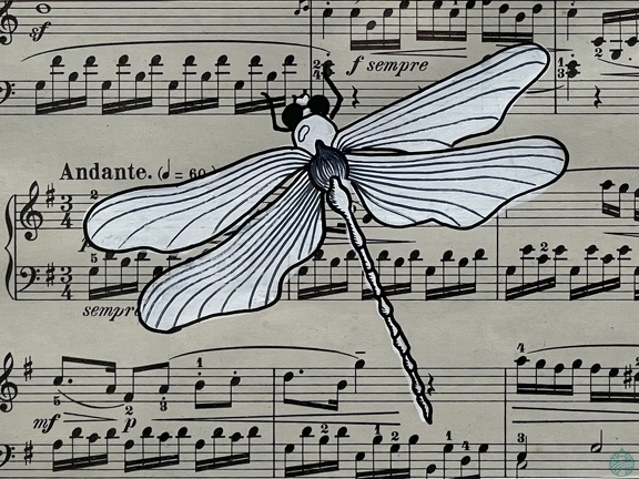 libellule