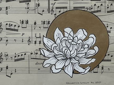 chrysanthème