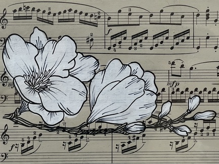 fleurs cerisier