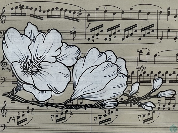 fleurs cerisier