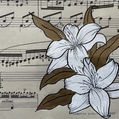 lys