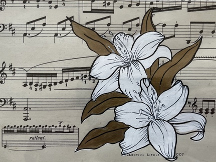 lys