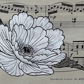 pivoine