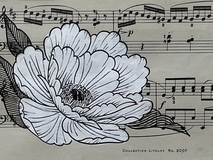 pivoine