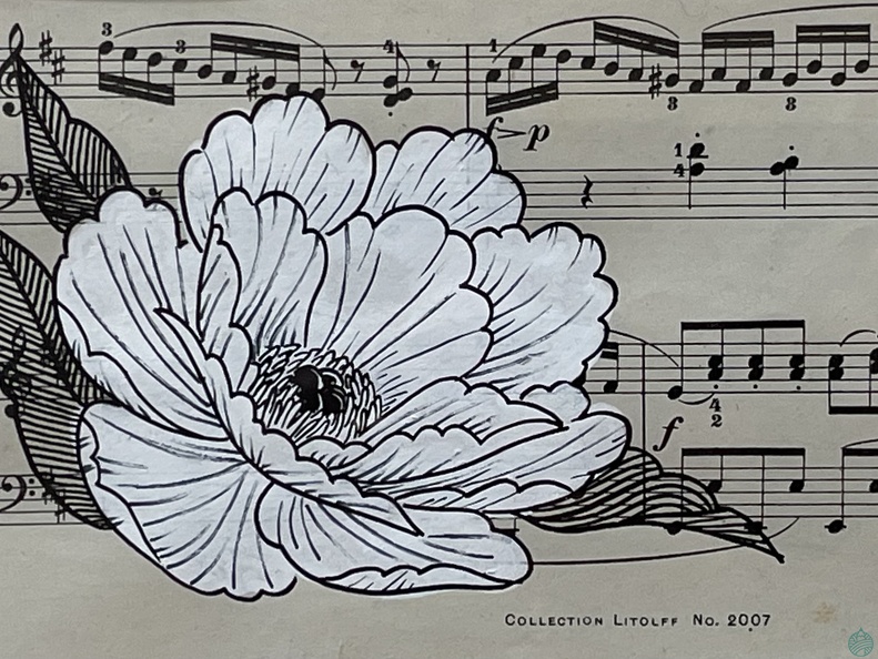 pivoine