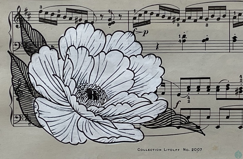 pivoine.jpg